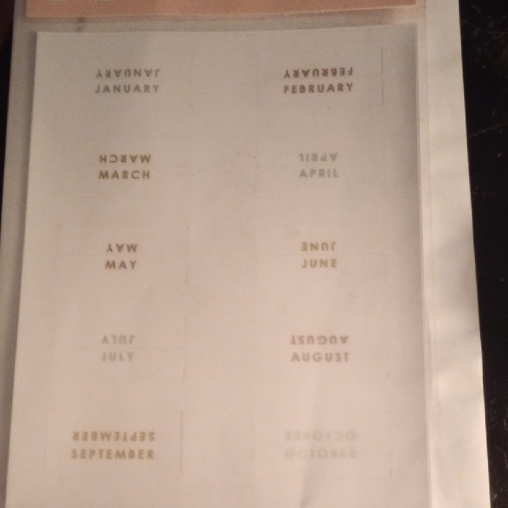 Erin Condren Metallic Monthly Adhesive Tabs